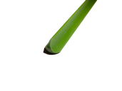 Treeflex Universalfiberglasstab Maxi