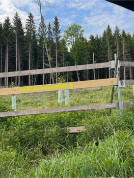 Holzzaun vor einem Wald mit hohen Bäumen und grünem Gras im Vordergrund.
