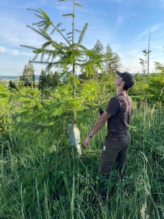 Kontrolle des Pflanzenwachstums