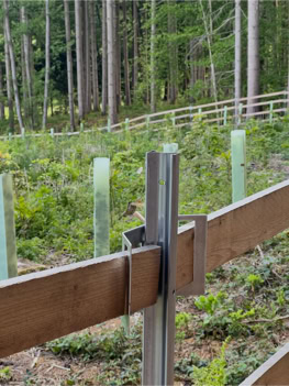 Metall- und Holzkonstruktion im Vordergrund, dahinter ein bewaldetes Gebiet mit jungen Bäumen und grüner Vegetation.