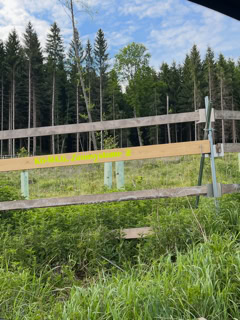 Holzzaun vor einem Wald mit hohen Bäumen und grünem Gras im Vordergrund.